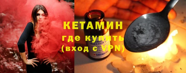 шишки Няндома