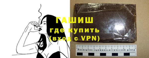 шишки Няндома