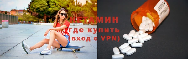 шишки Няндома