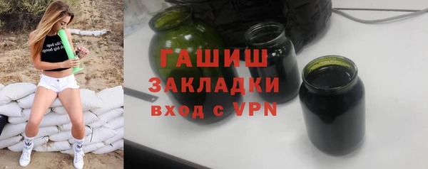 шишки Няндома