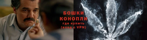 шишки Няндома