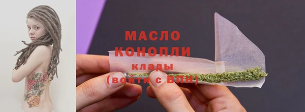 шишки Няндома