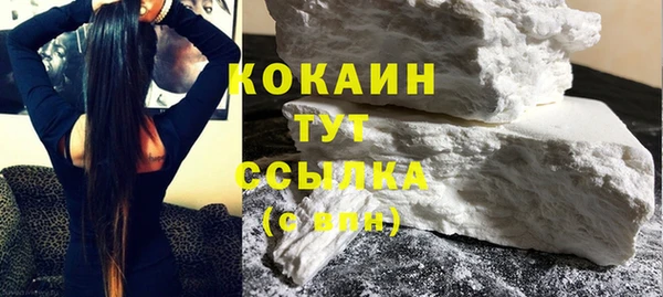 шишки Няндома