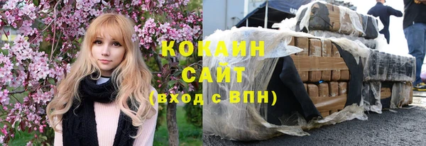 шишки Няндома