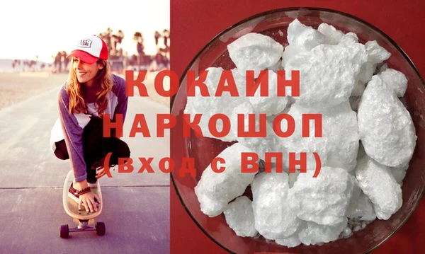 шишки Няндома