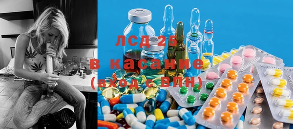 шишки Няндома