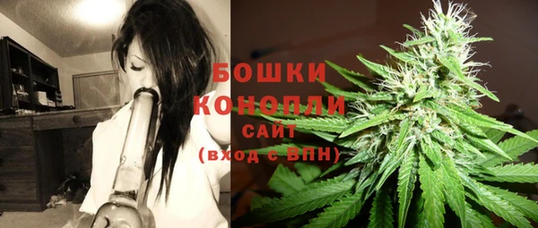 шишки Няндома