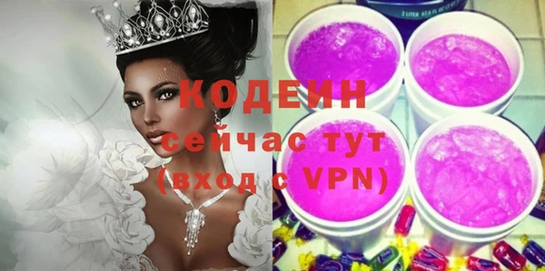 шишки Няндома