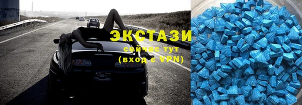 шишки Няндома