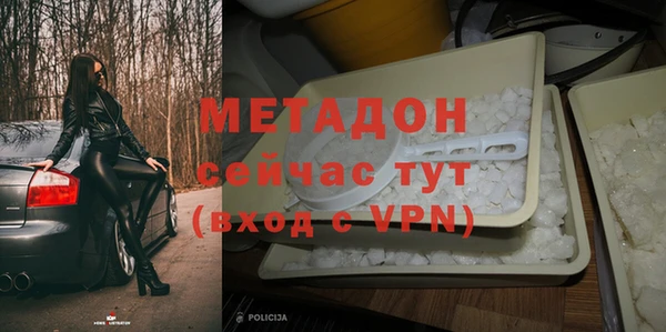 шишки Няндома