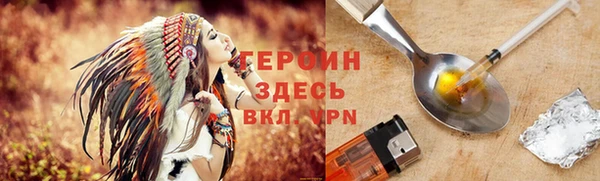 шишки Няндома