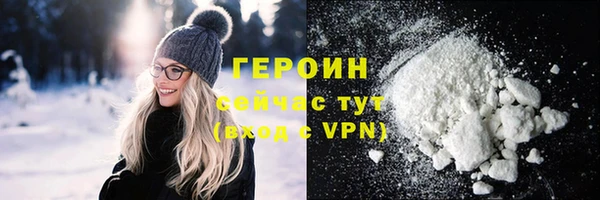 шишки Няндома