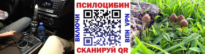 Галлюциногенные грибы Cubensis  купить  цена  Белоярский 